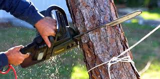 Best Soil Testing and Treatment  in Charleston, MO