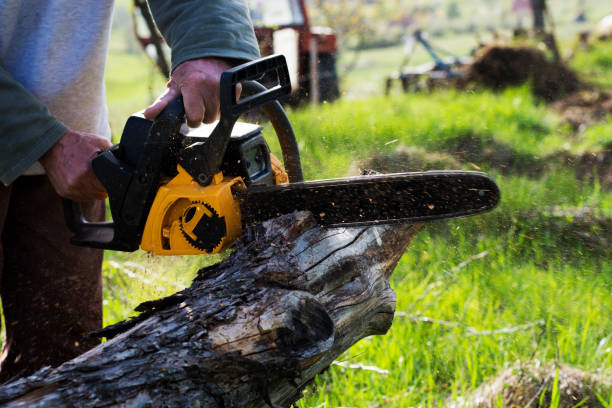 Best Aeration Services  in Charleston, MO